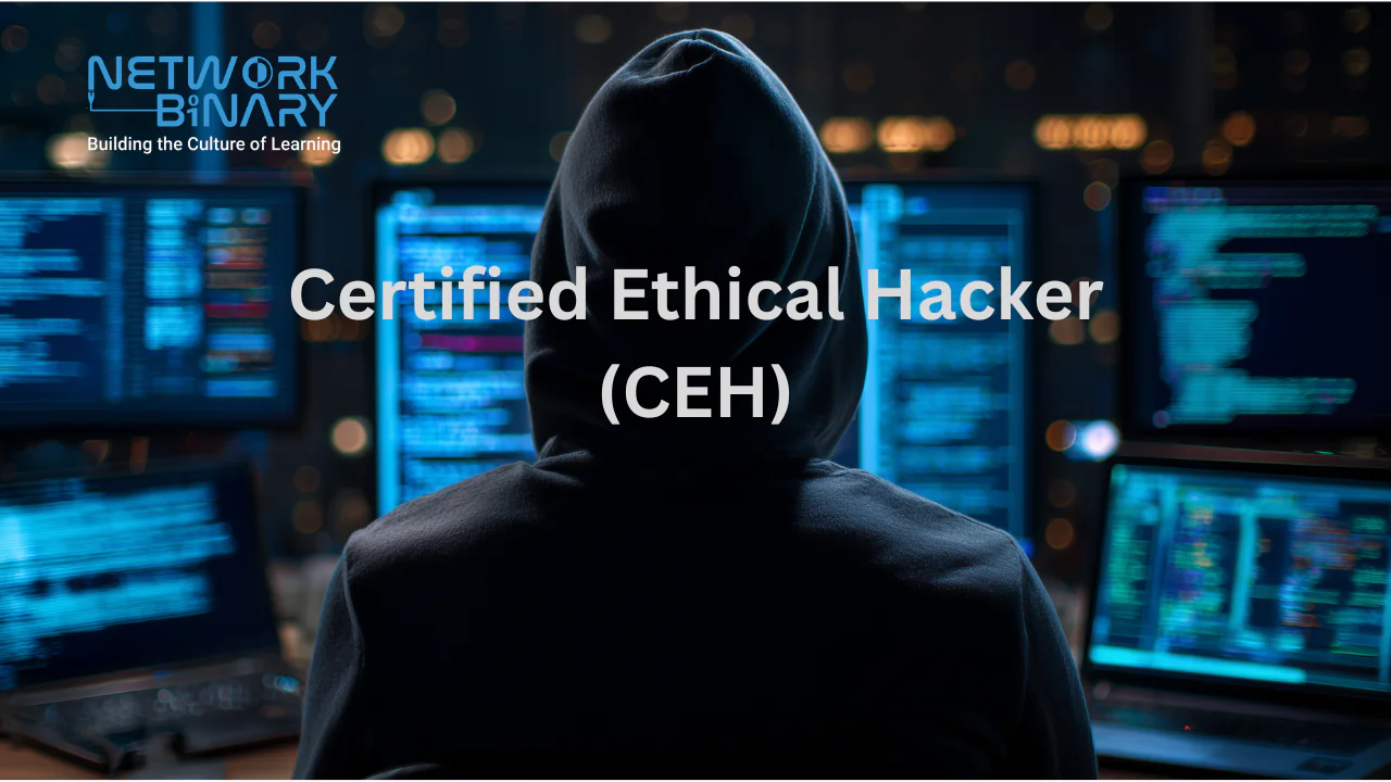 Certified Ethical Hacker Training in Bengaluru